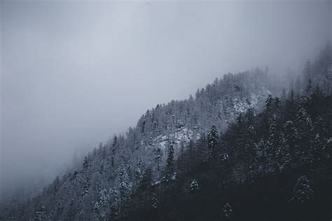 Winter wonderland - Switzerland on Behance