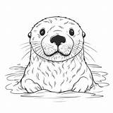 Otter Coloring Sea Drawing Outline Pages Printable Otters Baby Animals  sketch template