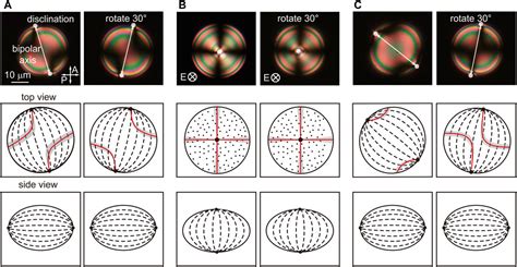 Frontiers | Electro-optic response of bipolar nematic liquid crystal confined in oblate spheroid