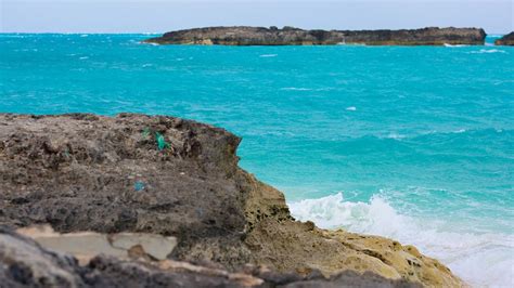 Tropic of Cancer Beach in William's Town, | Expedia