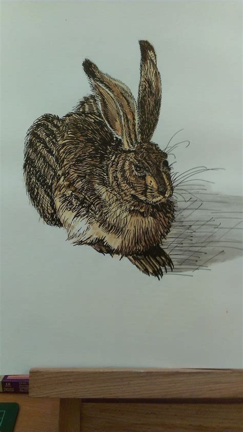 Albrecht Durer's Young Hare copy by GSxZero35 on DeviantArt