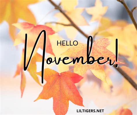 100 Inspirational Hello November Quotes, Sayings & Wishes 2024