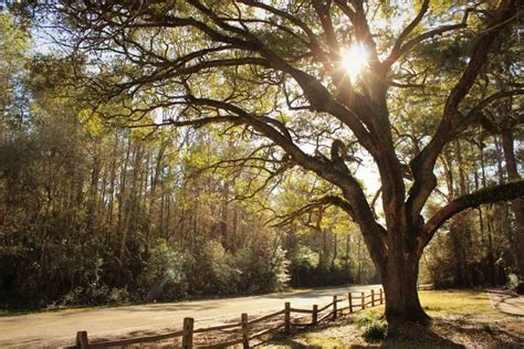 Hiking In Texas: The 24 Best Hiking Trails (2023) - Hikers Daily