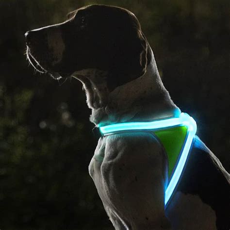 Noxgear Light Hound Illuminated and Reflective Dog Vest - NoveltyStreet