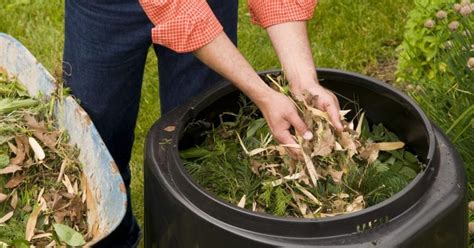 5 Best Compost Shredders for 2023 - Compost Magazine