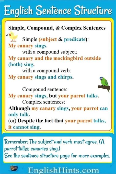 How To Teach Simple Sentences To Adults - Sandra Roger's Reading Worksheets