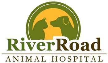 River Road Animal Hospital, Veterinarian in Niskayuna, NY