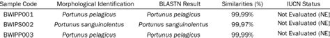 Conservation Status Based on IUCN | Download Scientific Diagram