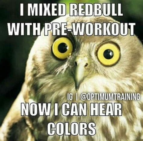 Funny Workout Memes for Your Fitness Journey (25 Memes) | Funny gym ...