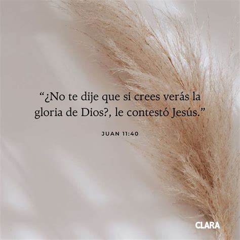 De La Biblia Versiculos Salmos