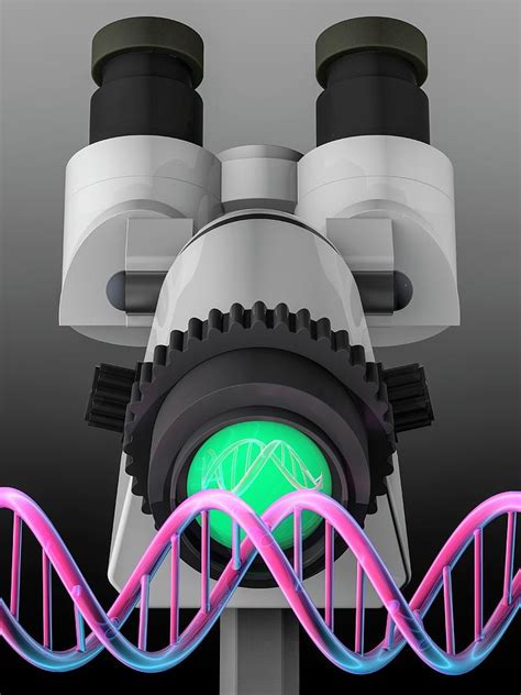 Genetic Engineering Photograph by Laguna Design/science Photo Library ...