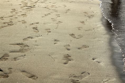 Footprints In The Sand Free Stock Photo - Public Domain Pictures