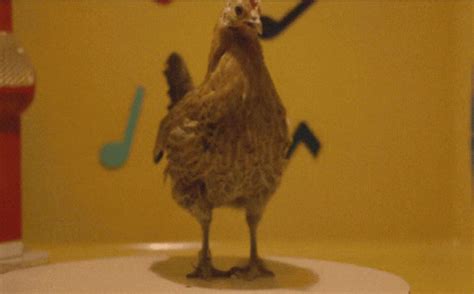 Dancing Chicken Cute GIF - Dancing Chicken Cute Dance - Discover & Share GIFs