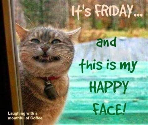 Happy Friday Cat Meme