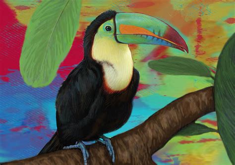 Rainforest Bird - Keel Billed Toucan Stylised Pop Art Drawing Potrait Poser Drawing by Kim Wang