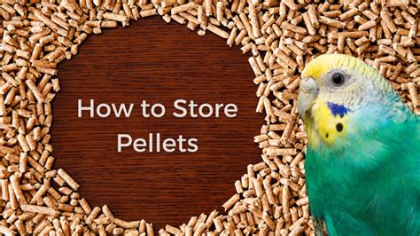 How to Store Pellets - The Budgie Academy