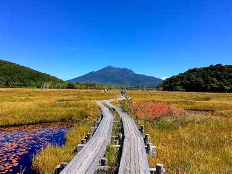 Oze National Park Autumn Trekking Trip - Tokyo Gaijins