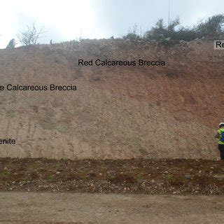 (PDF) New Age Assignment of the Kapurpurawan Rock Formation Calcarenite in Burgos Ilocos Norte ...