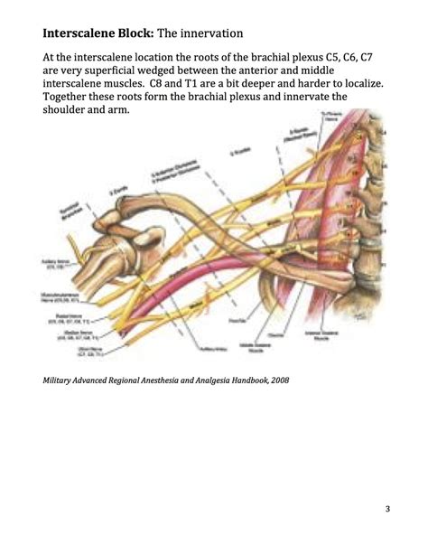 INTERSCALENE BLOCK — Highland Emergency Ultrasound