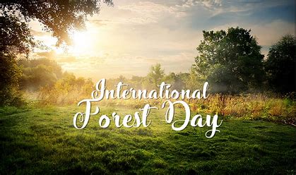 International Day Of Forests Theme,Images,Quotes - 21 March