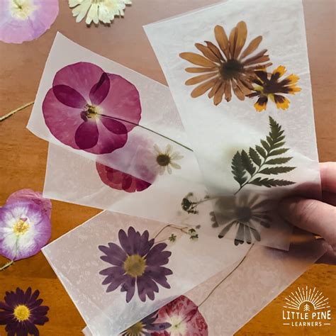 Pressed and Dried Flower Bookmarks • Little Pine Learners