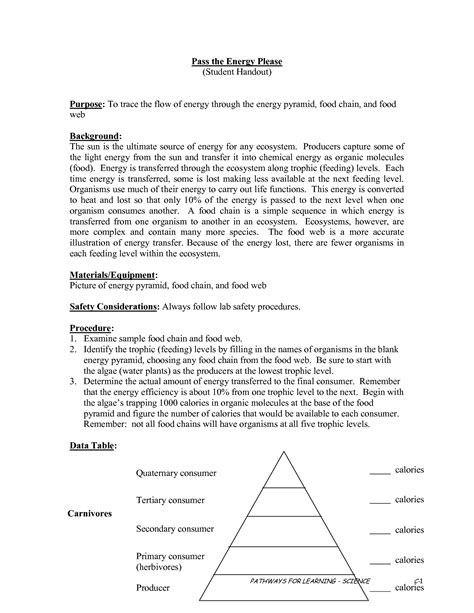 12 Best Images of Energy Pyramid Worksheet Middle School - How Many Valence Electrons Does ...