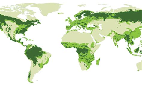 Global Deforestation Graph