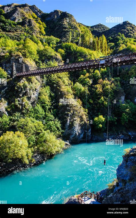 AJ Hackett Bungy jumping on the Kawarau bridge over the Kawarau river ...