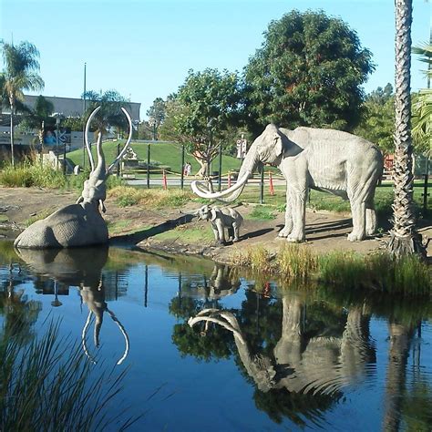 La Brea Tar Pits and Museum (Los Angeles) - All You Need to Know BEFORE ...