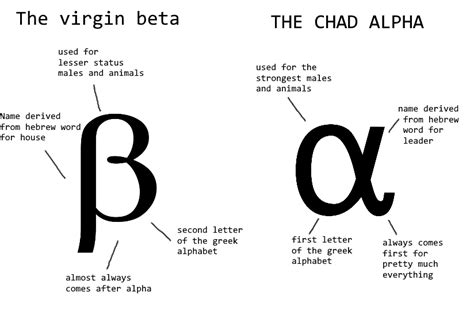 Virgin beta VS CHAD ALPHA : r/virginvschad