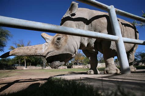 Photos: 11 animals you can see at the Reid Park Zoo