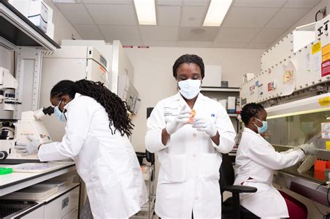 Collaboration in Cancer Research | Howard Magazine