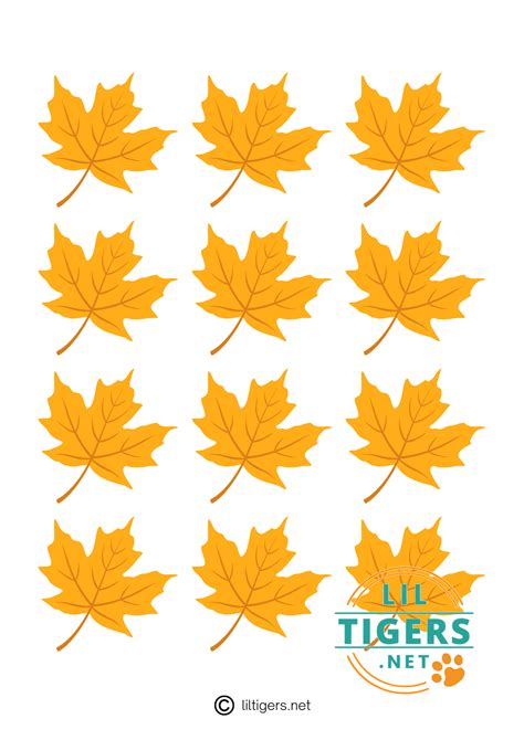 Maple Leaf Outline Printable