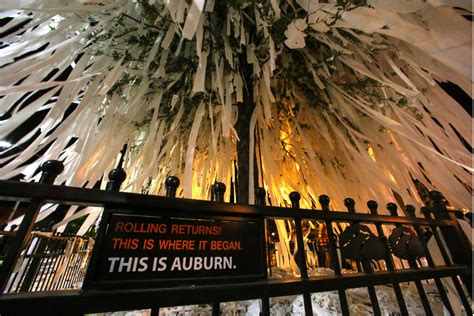 Rolling Toomer's Corner is an Untouchable College Tradition - FanBuzz