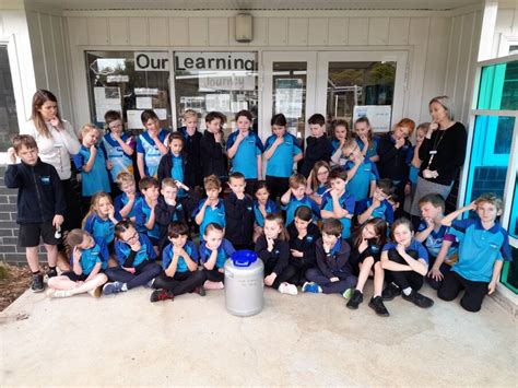 Table Cape and Somerset primary schools to open capsules in coming weeks | The Advocate | Burnie ...