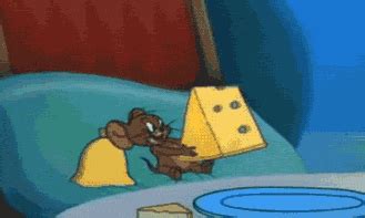 Cheese GIFs - Find & Share on GIPHY