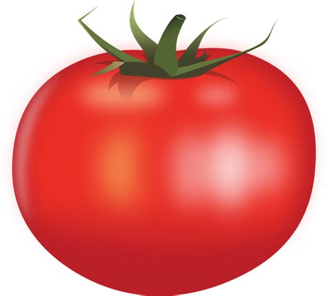 Comida Tomate Vegetal - Gráfico vetorial grátis no Pixabay - Pixabay