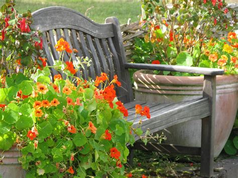 Potager fleuri, des légumes et des fleurs - La terre est un jardin