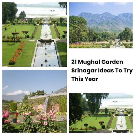 21 Mughal Garden Srinagar Ideas To Try This Year | SharonSable