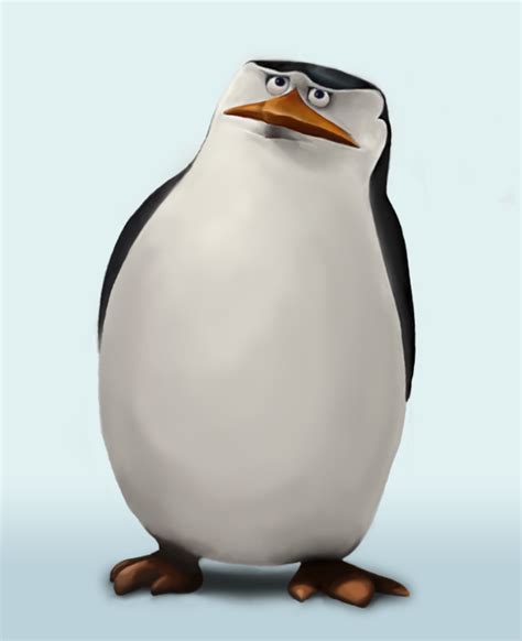 Skipper! - Penguins of Madagascar Photo (22604983) - Fanpop