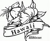 Hawaiian Luau Coloring Pages  Home sketch template