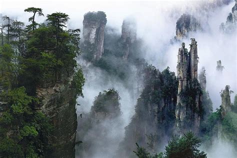 Private Day Trip To Zhangjiajie National Forest Park: Triphobo