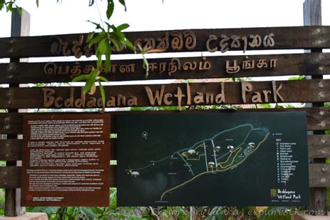 Beddagana Wetland Park | Attractions in Sri lanka