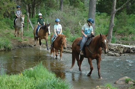 Trail Rides | Trail riding, Horseback riding trails, Horses