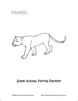 Florida Panther Drawing at GetDrawings | Free download