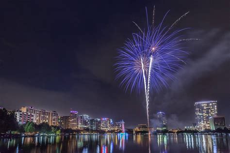 Just a reminder that Florida wildlife really hates your fireworks | Blogs