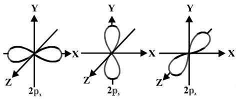 Describe the Shape of a P Orbital.