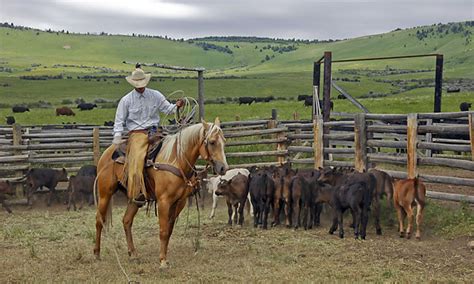 🔥 [40+] Montana Ranch Wallpapers | WallpaperSafari