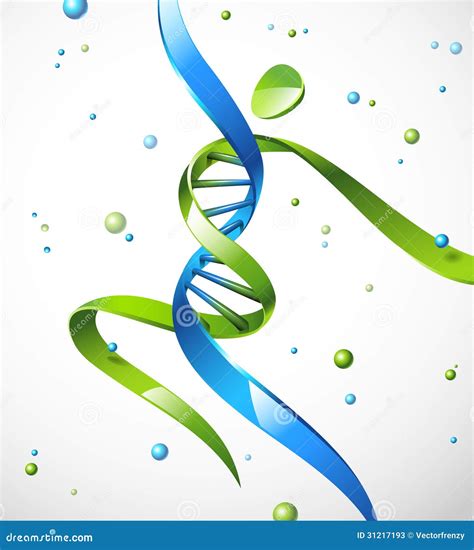 Human DNA Illustration Stock Photos - Image: 31217193