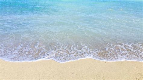 Hawaii beach zoom background - download free virtual backgrounds